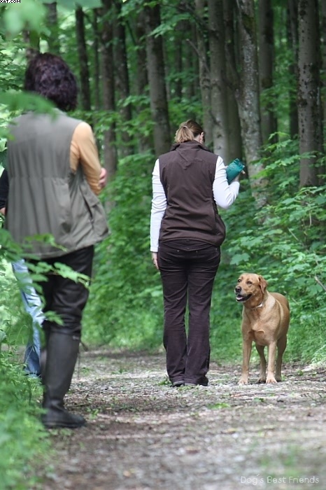 Img 1242902383 601 lg opt