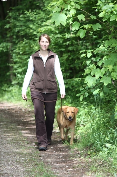 Img 1242902418 843 lg opt