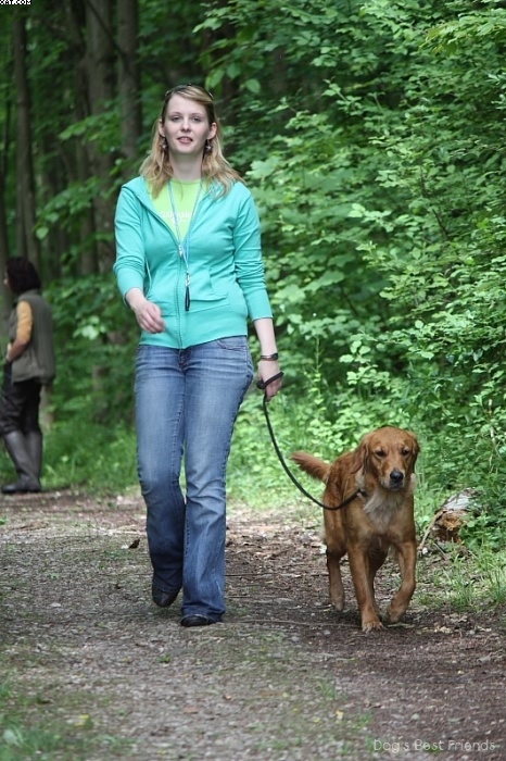 Img 1242902490 519 lg opt