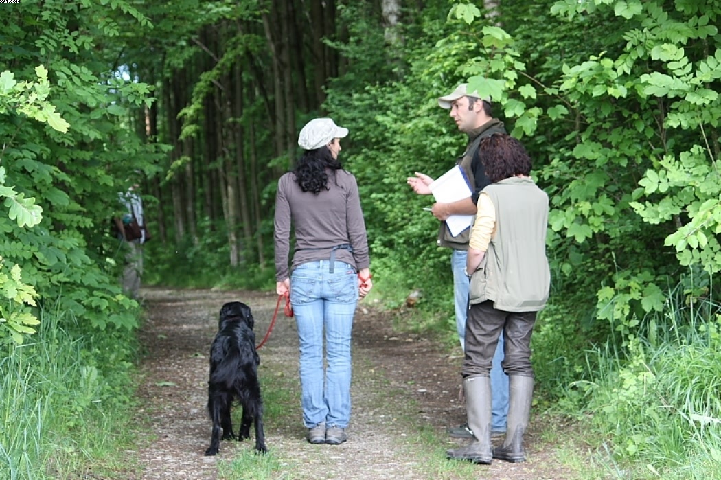 Img 1242902530 820 lg opt