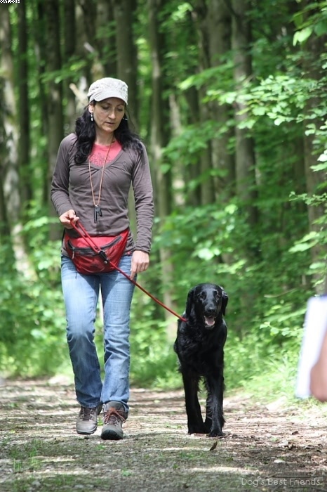 Img 1242902564 526 lg opt