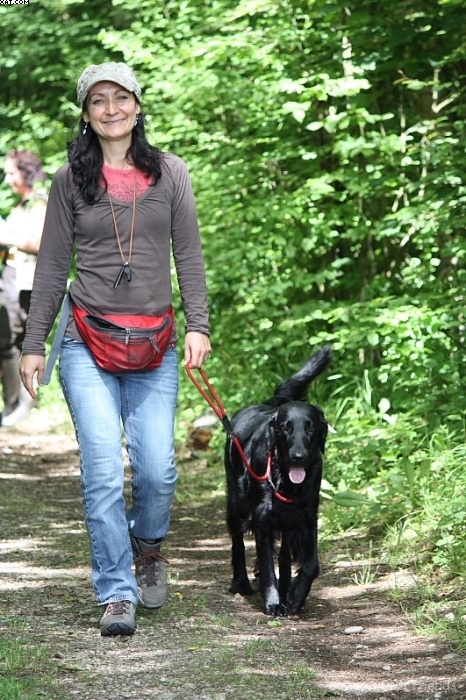 Img 1242902605 259 lg opt