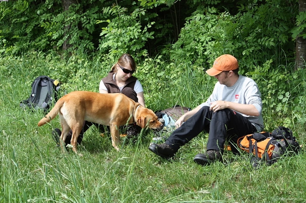 Img 1242902658 974 lg opt