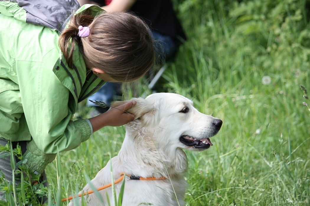 Img 1242902720 722 lg opt