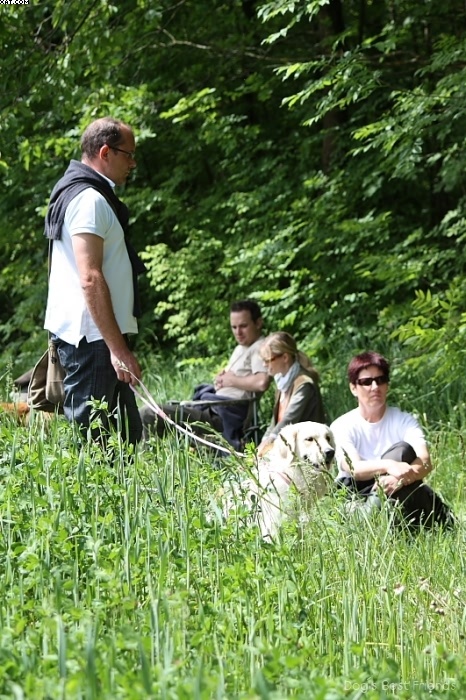 Img 1242902760 18 lg opt