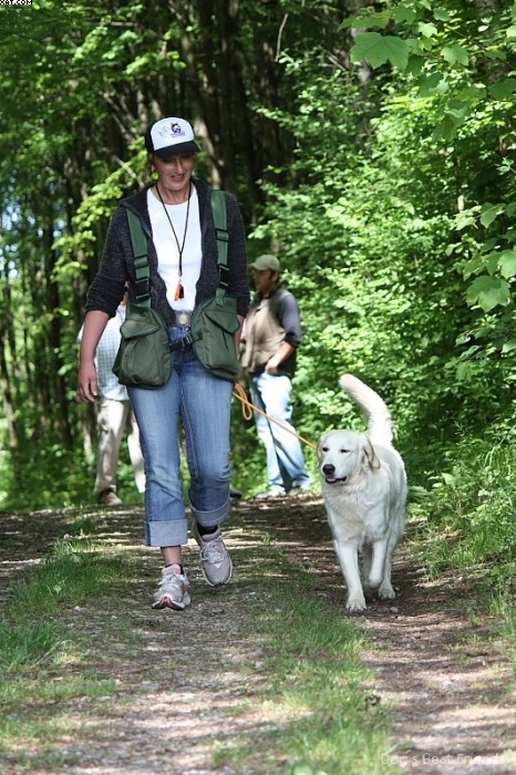 Img 1242902842 398 lg opt