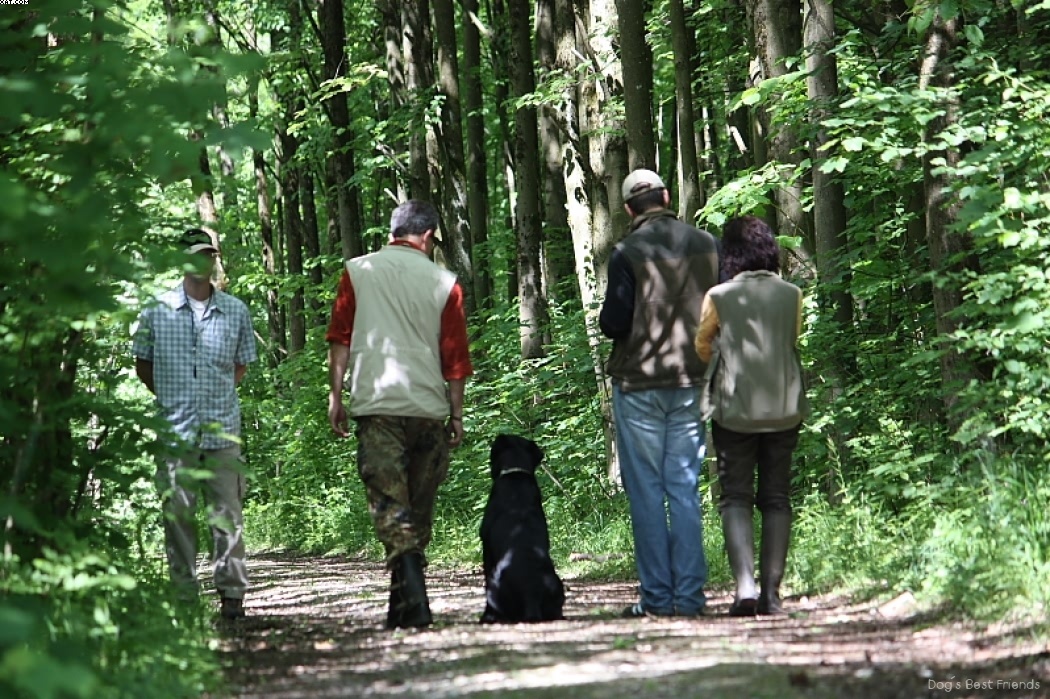 Img 1242902884 167 lg opt