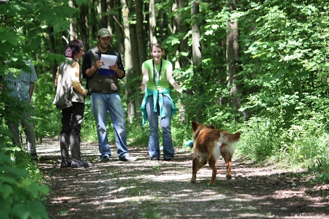 Img 1242902925 994 lg opt