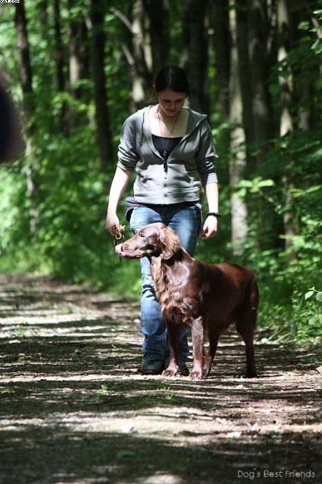 Img 1242902965 173 lg opt