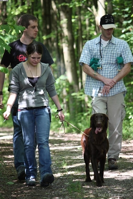 Img 1242903045 137 lg opt