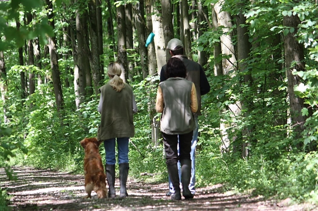 Img 1242903091 34 lg opt