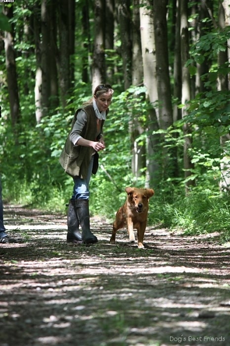 Img 1242903127 139 lg opt