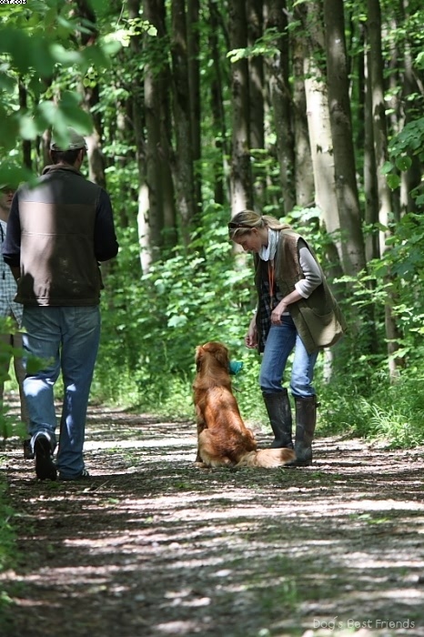 Img 1242903165 34 lg opt