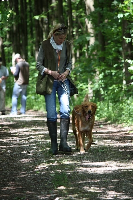 Img 1242903205 179 lg opt