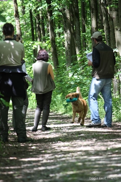 Img 1242903287 96 lg opt