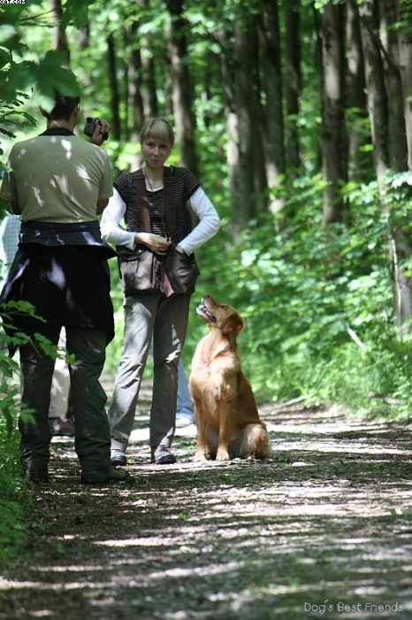 Img 1242903325 977 lg opt