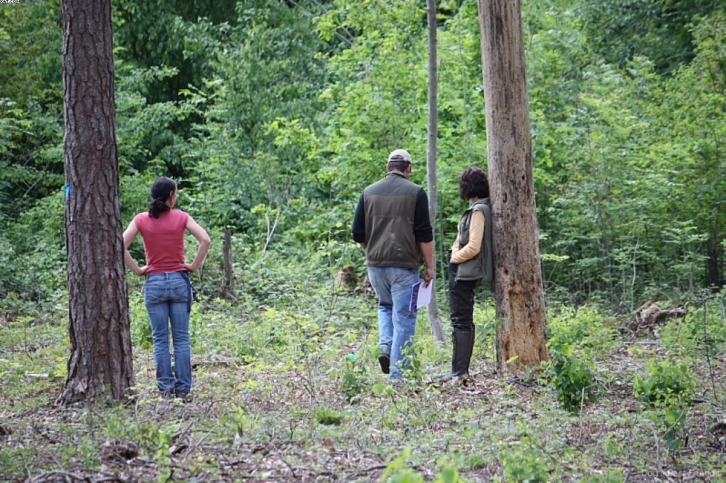 Img 1242903375 176 lg opt