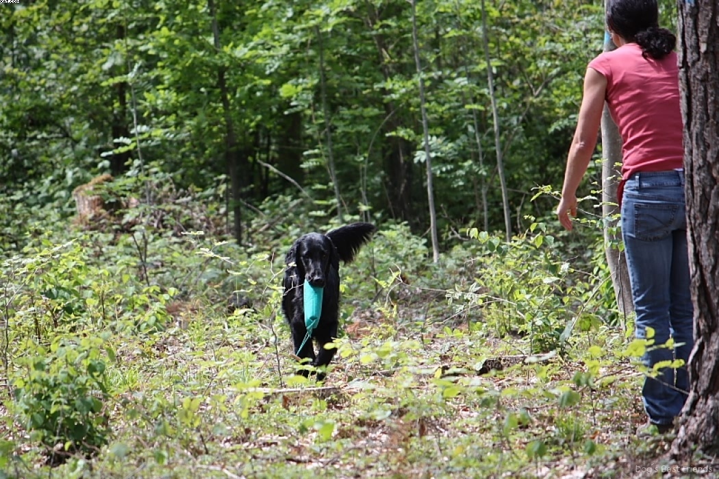 Img 1242903465 541 lg opt