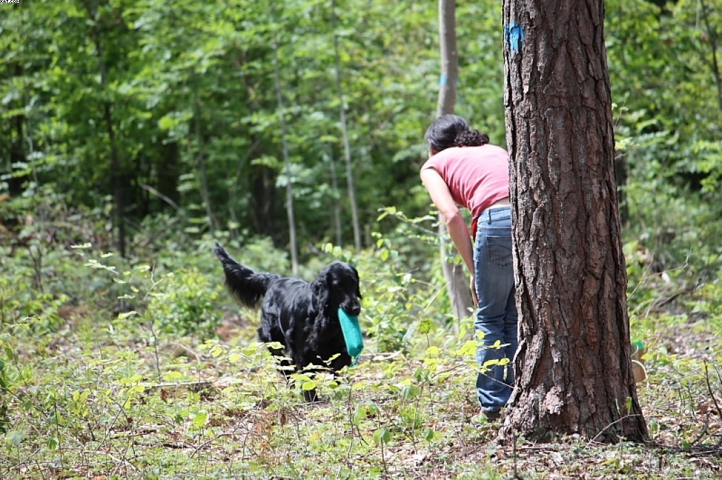 Img 1242903510 717 lg opt