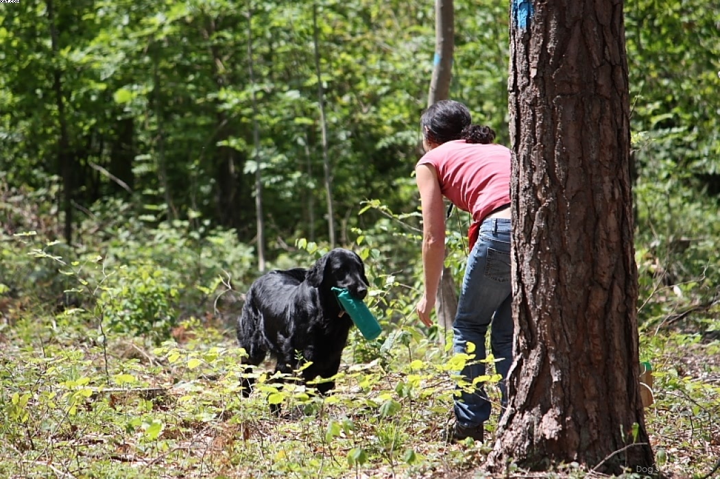 Img 1242903599 764 lg opt