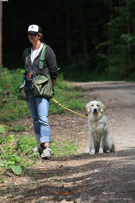 Img 1242903631 9 lg opt