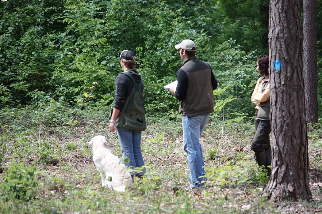 Img 1242903676 516 lg opt