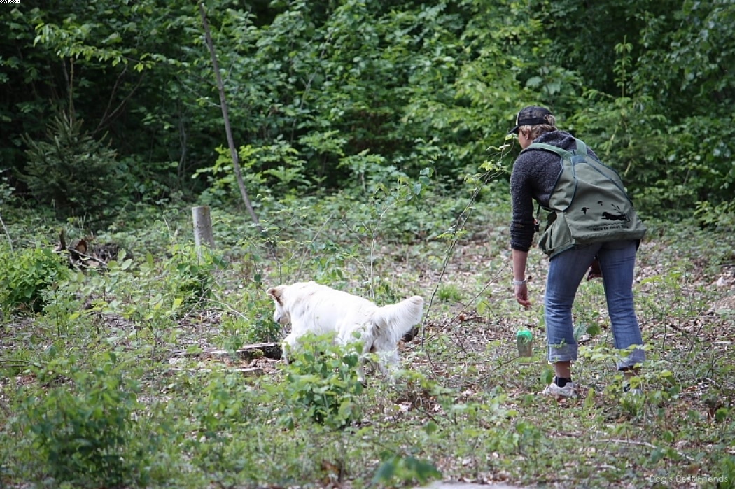 Img 1242903722 984 lg opt