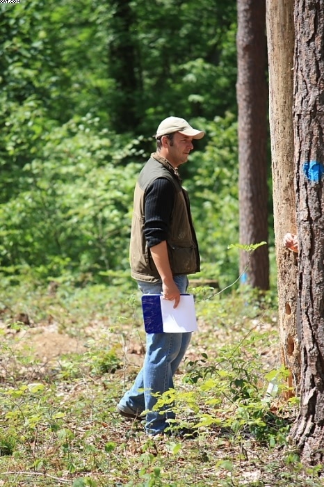 Img 1242904082 636 lg opt