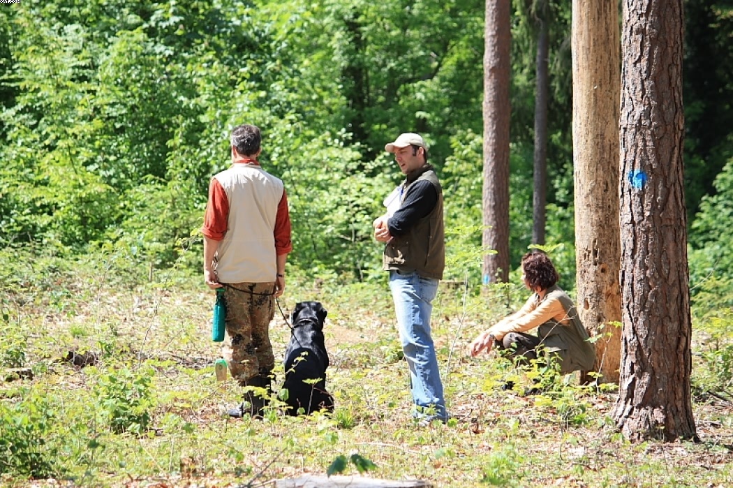 Img 1242904267 873 lg opt