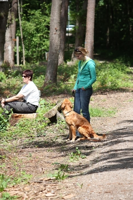 Img 1242904422 48 lg opt