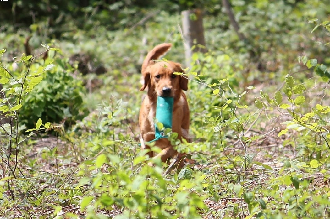 Img 1242904597 64 lg opt