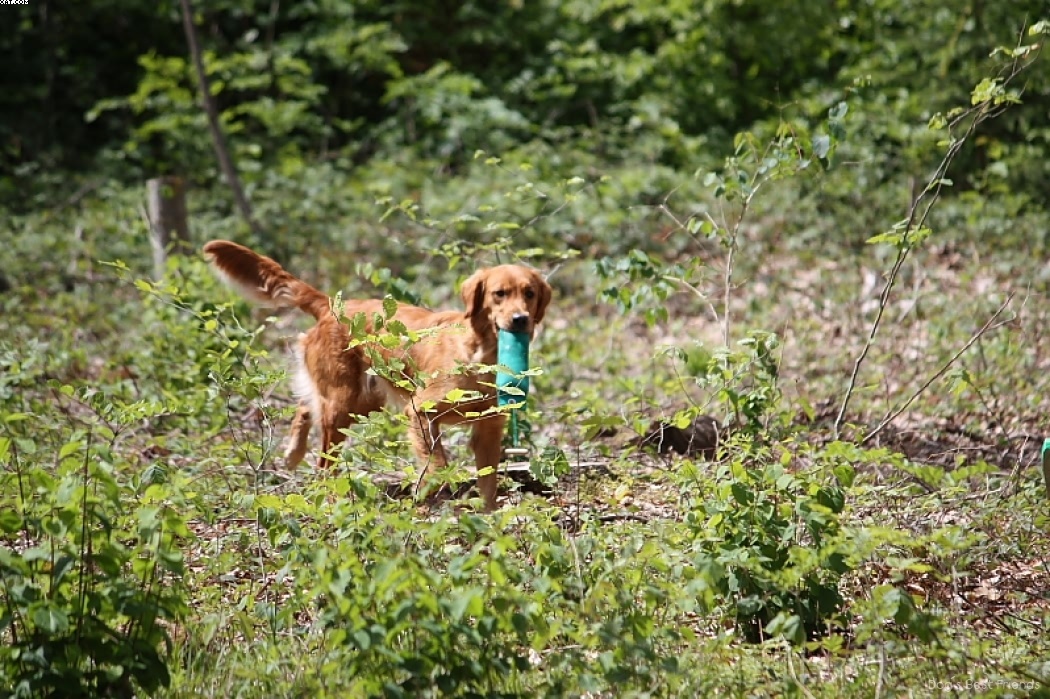 Img 1242904639 358 lg opt