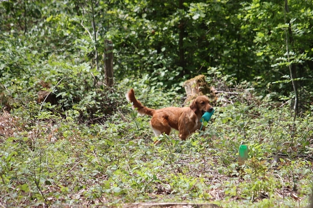 Img 1242904726 943 lg opt