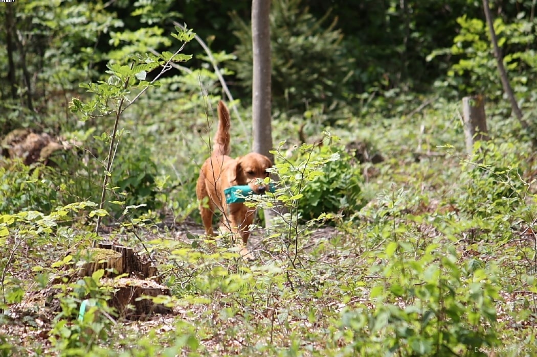 Img 1242904774 400 lg opt