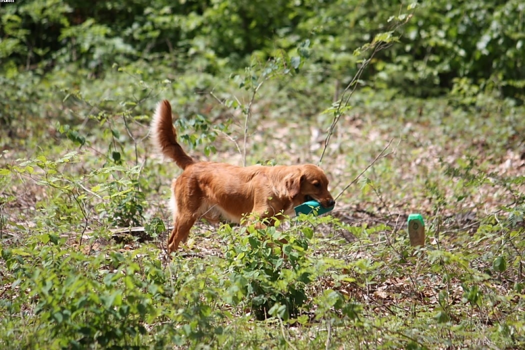 Img 1242904880 738 lg opt