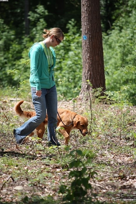 Img 1242904920 981 lg opt