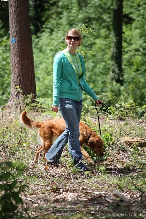 Img 1242904959 351 lg opt