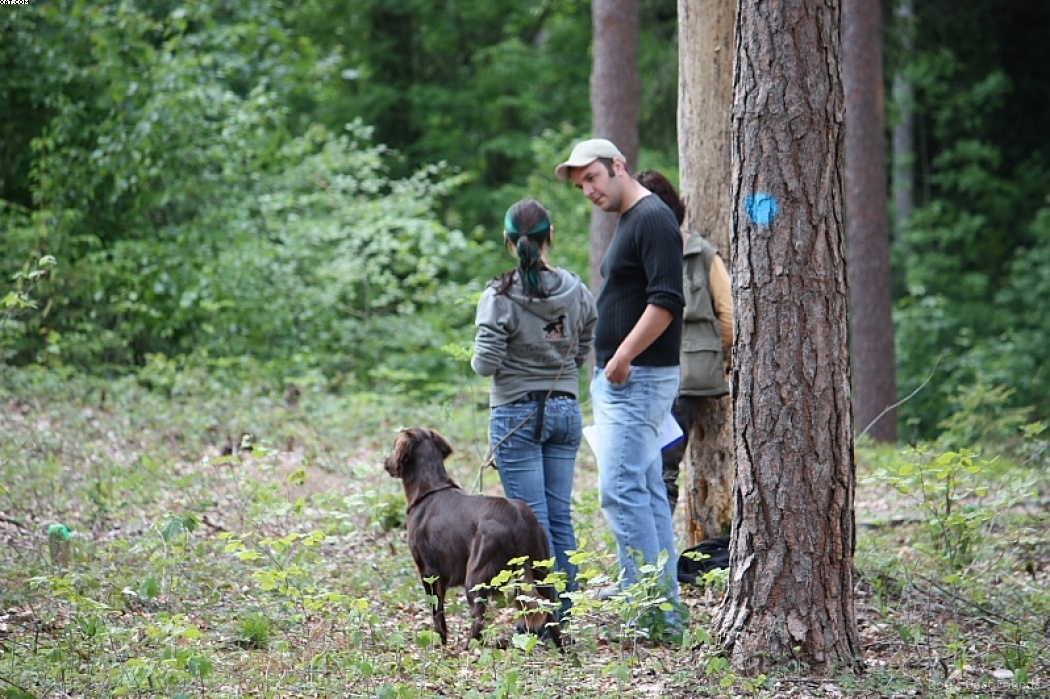 Img 1242904998 796 lg opt