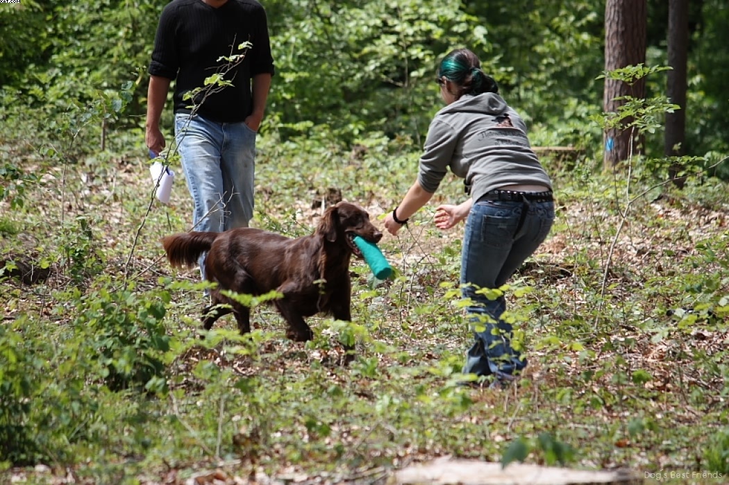 Img 1242905040 184 lg opt