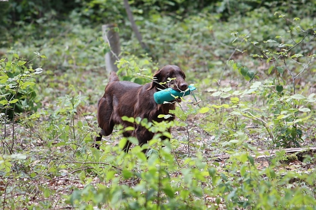 Img 1242905079 969 lg opt