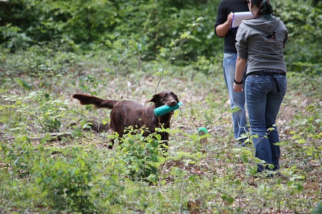 Img 1242905123 349 lg opt