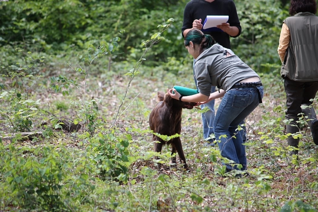 Img 1242905164 836 lg opt