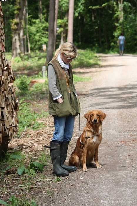 Img 1242905204 59 lg opt