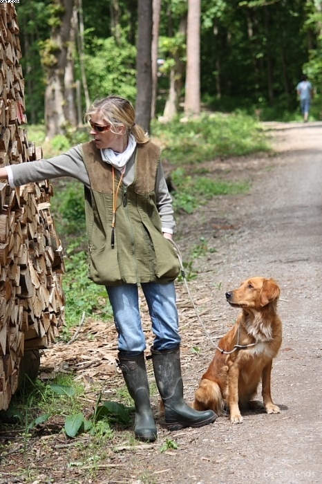 Img 1242905256 369 lg opt