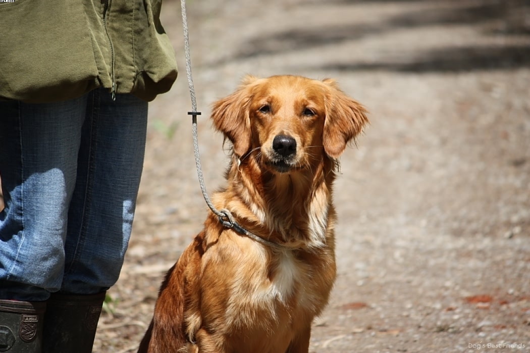 Img 1242905344 217 lg opt