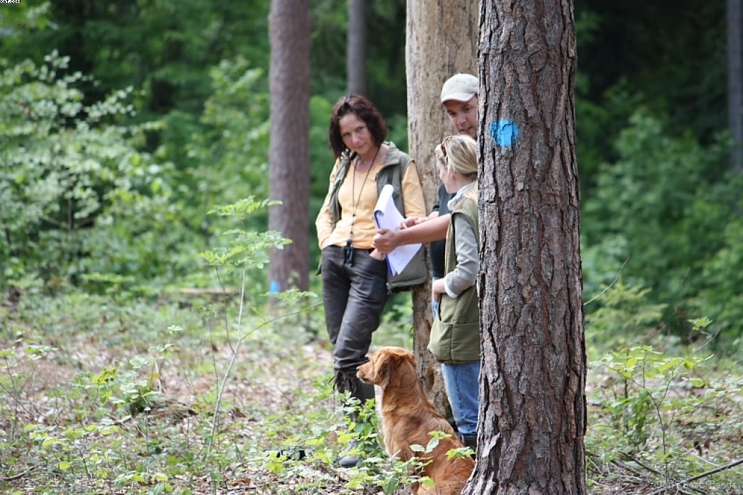 Img 1242905383 497 lg opt