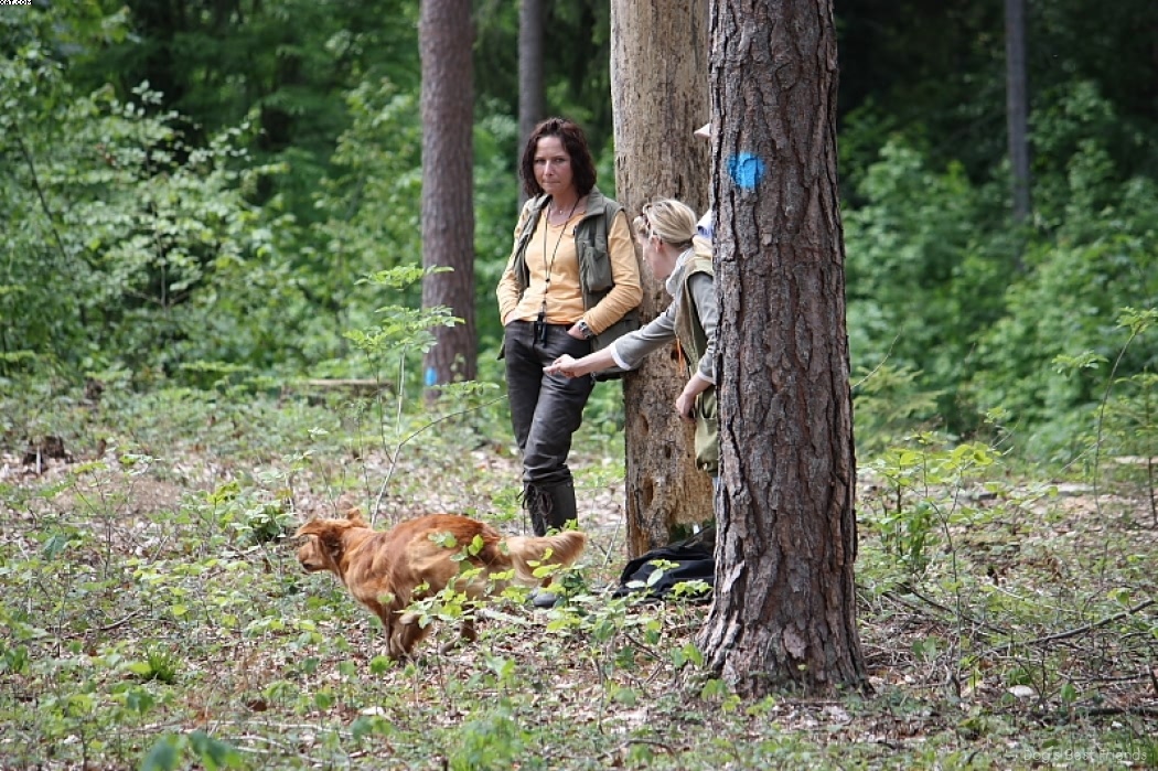 Img 1242905425 224 lg opt