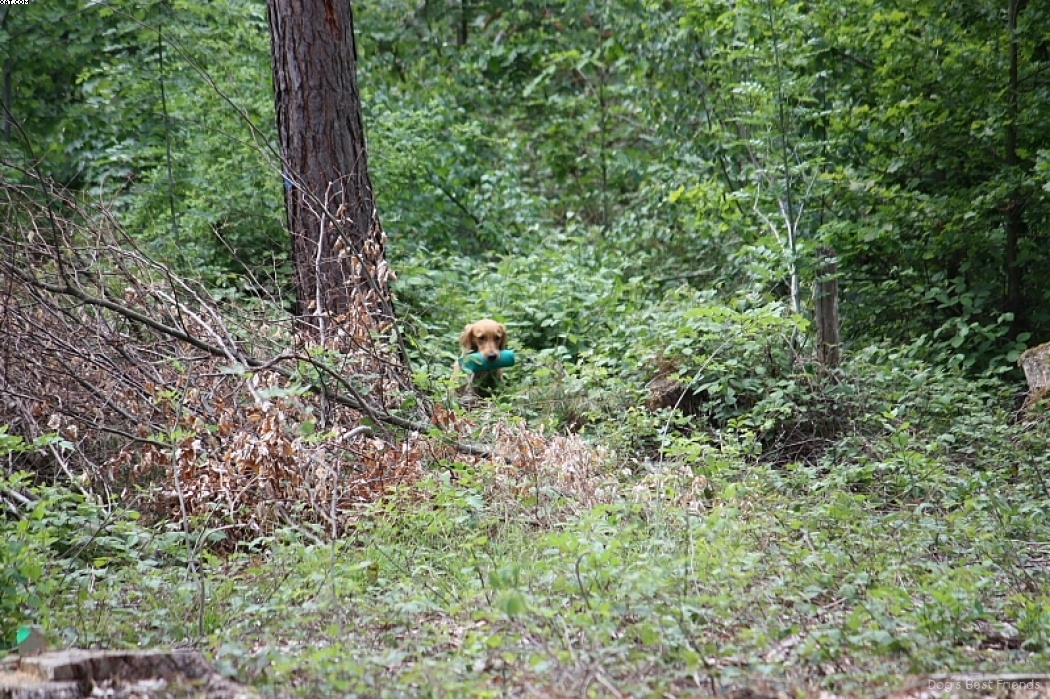 Img 1242905488 141 lg opt