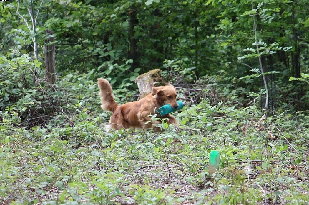 Img 1242905608 717 lg opt