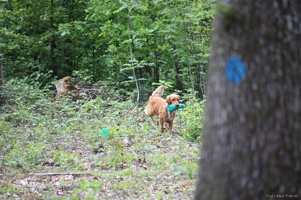 Img 1242905652 37 lg opt